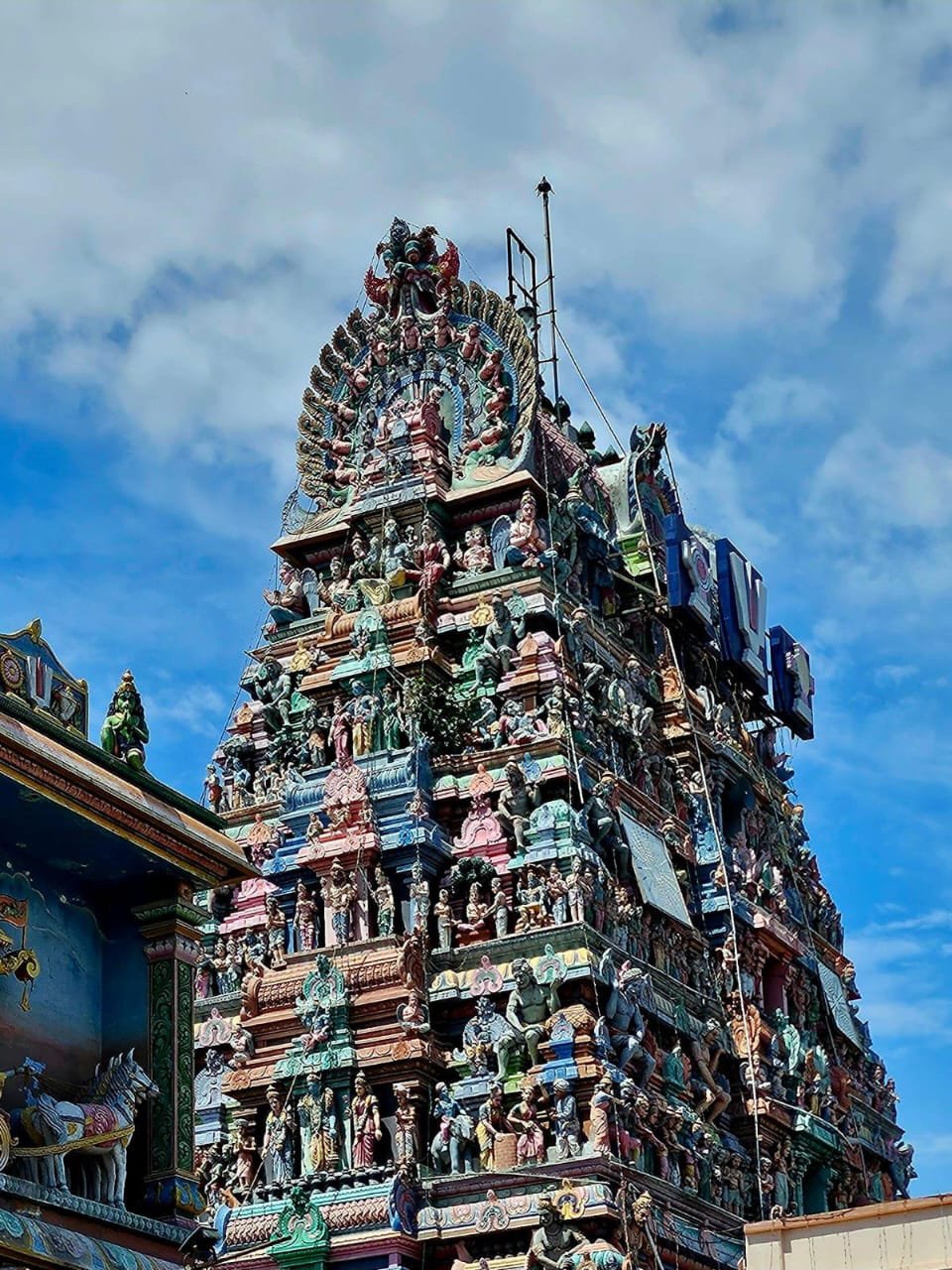 WhatsApp Image 2025-01-26 at 9.15.41 PM